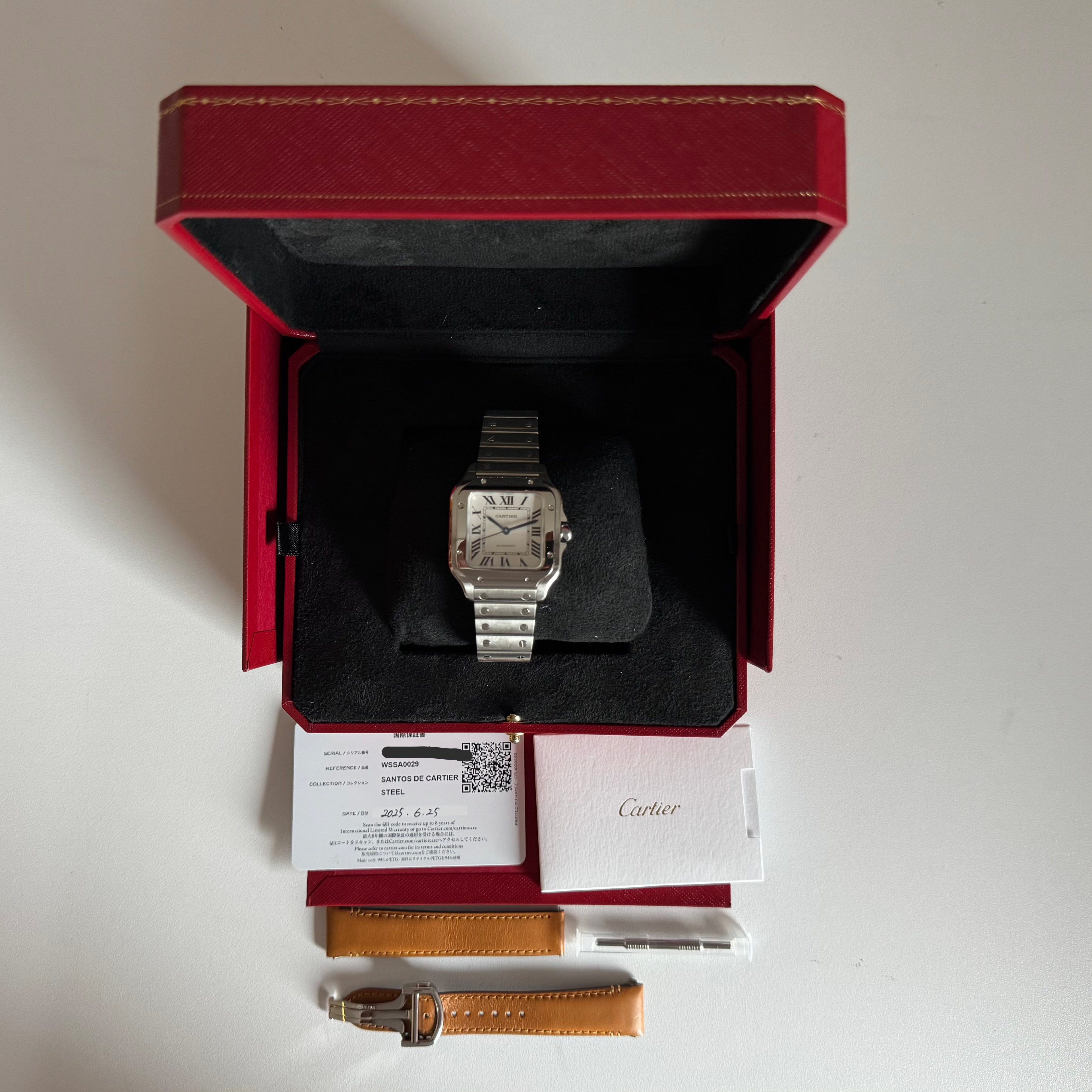 Cartier Santos | WSSA0029 | 2025