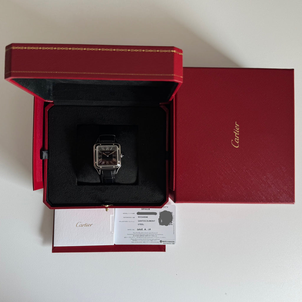 Cartier Santos Dumont LM | 2025