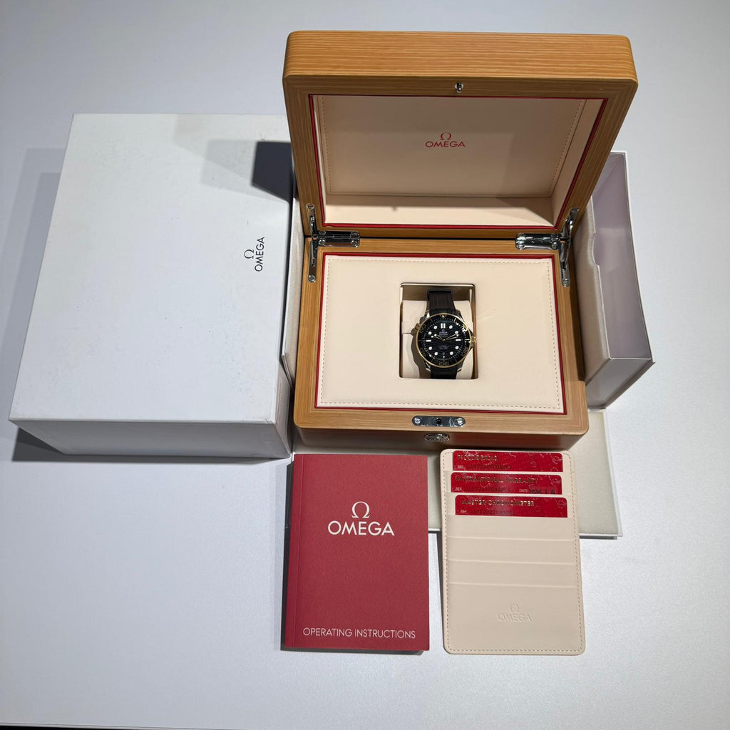 Omega Seamaster Diver 300M | 2024