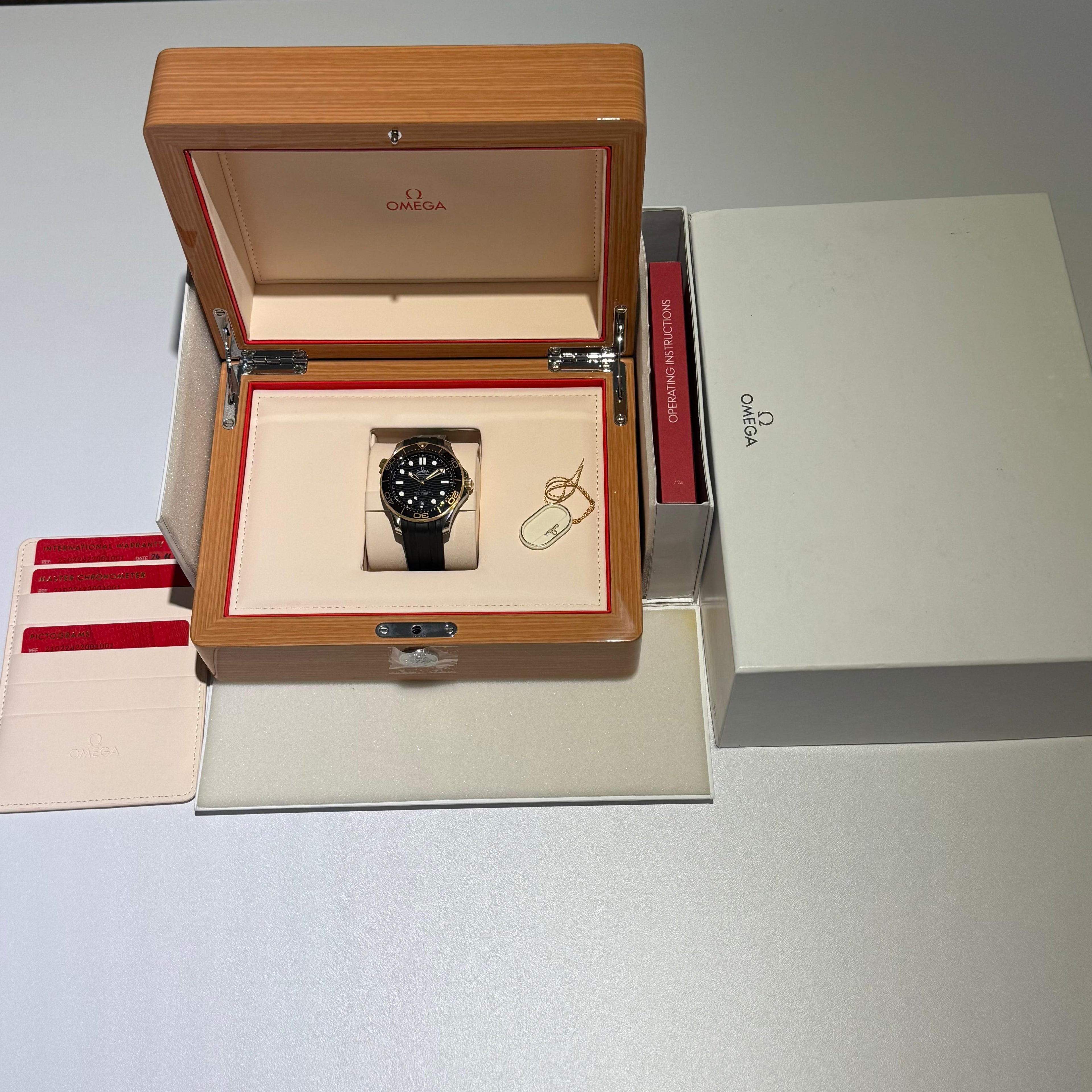 Omega Seamaster Diver 300M | 2024