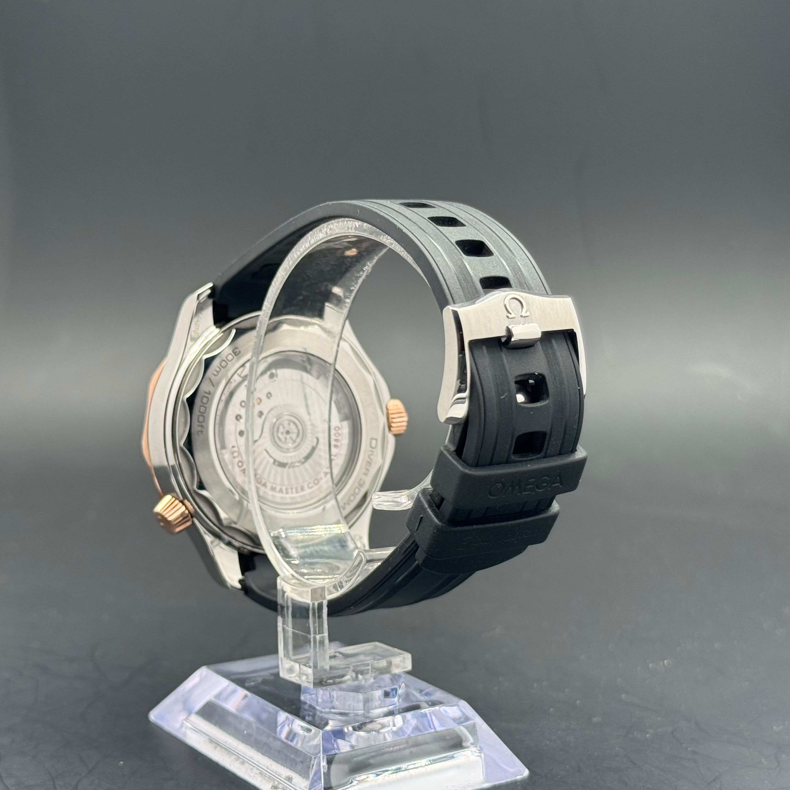 Omega Seamaster Diver 300M | 2024