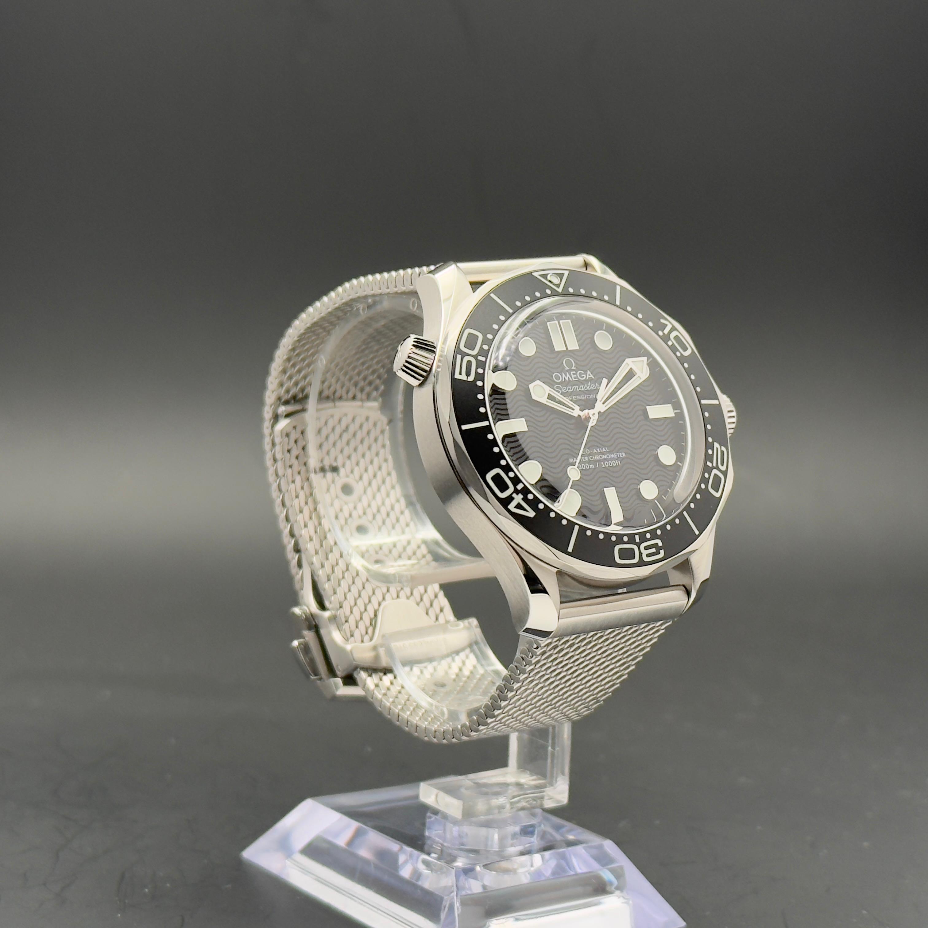 Omega Seamaster Diver 300M | 2025