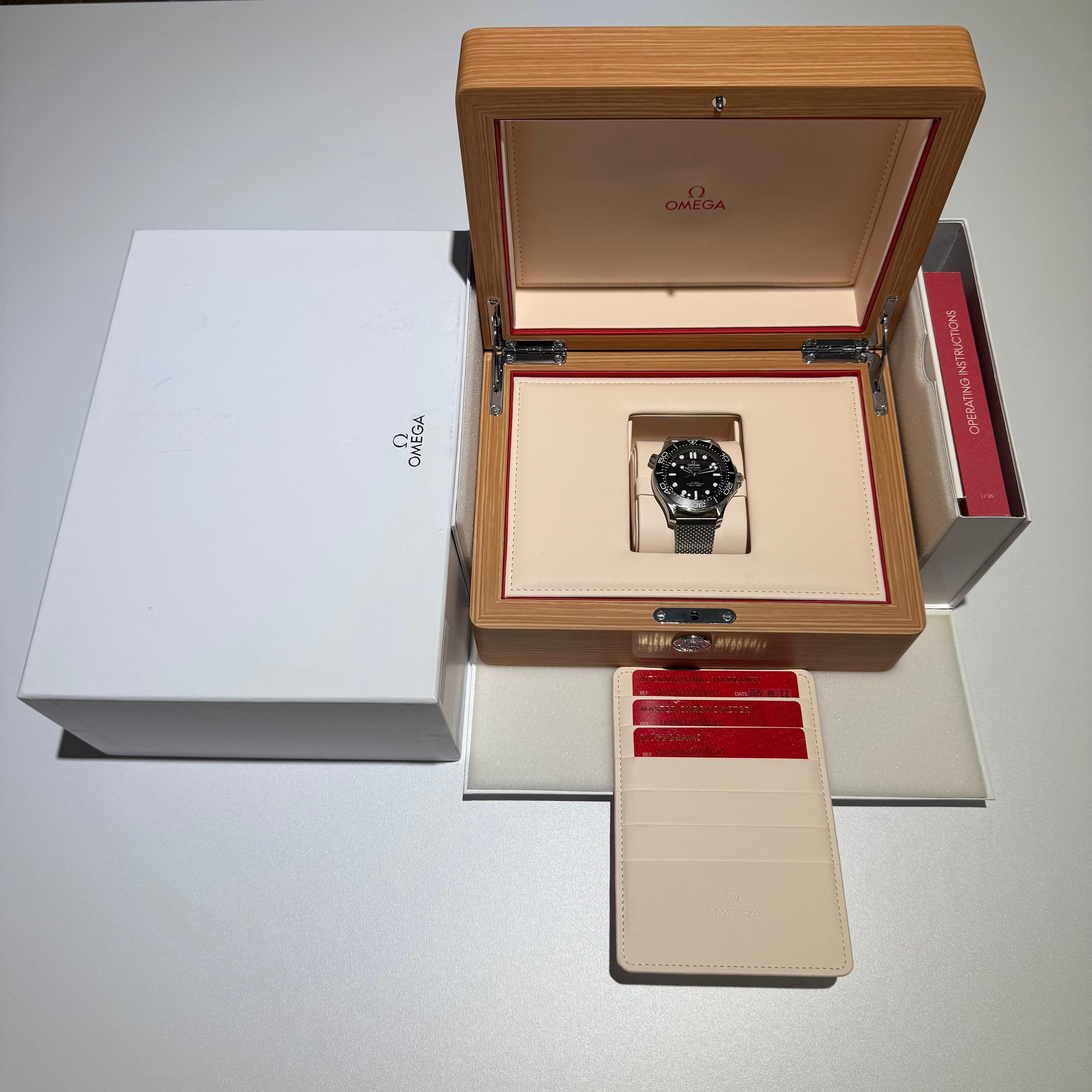 Omega Seamaster Diver 300M | 2025