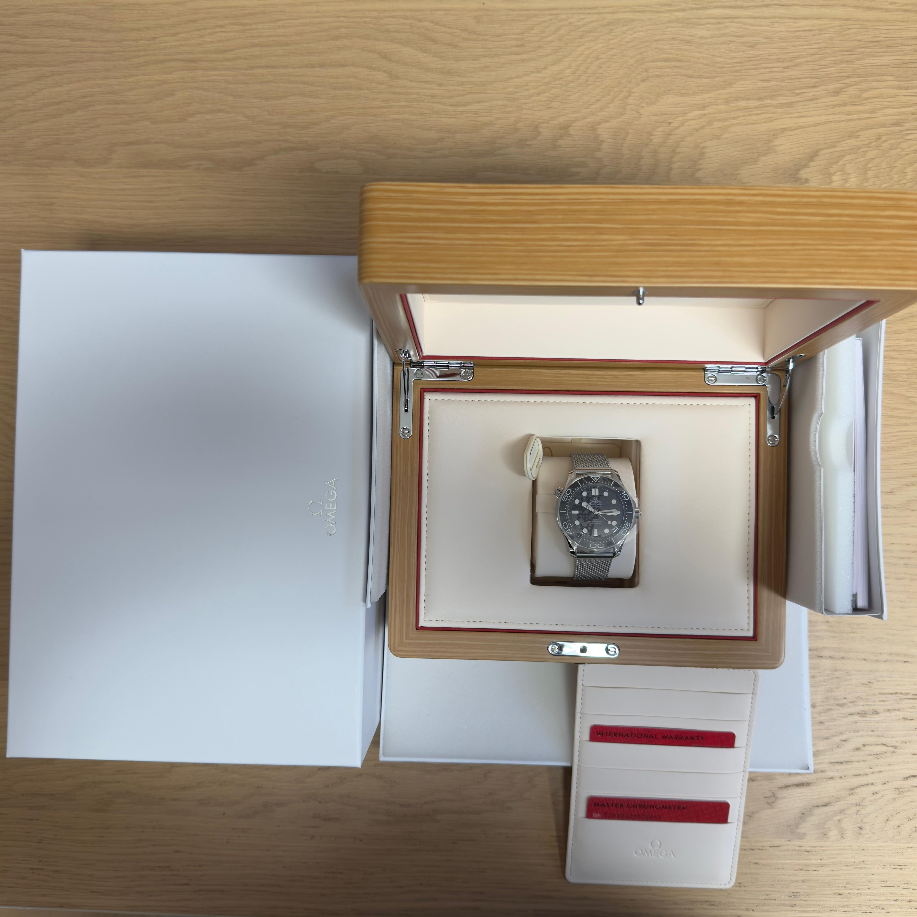 Omega Seamaster Diver 300M | 2026