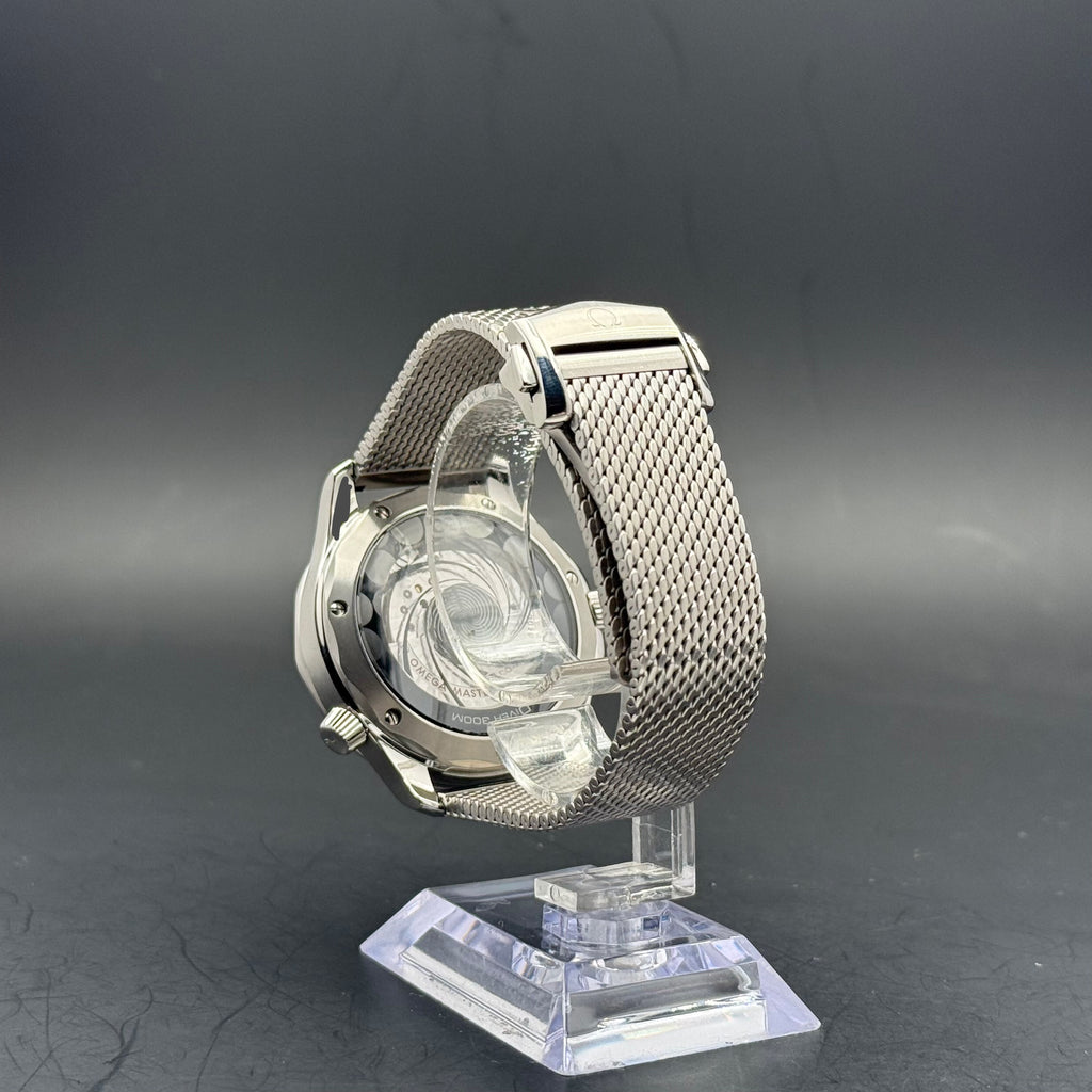Omega Seamaster Diver 300M | 2024