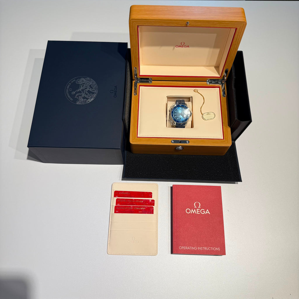 Omega Seamaster Diver 300M | 2025