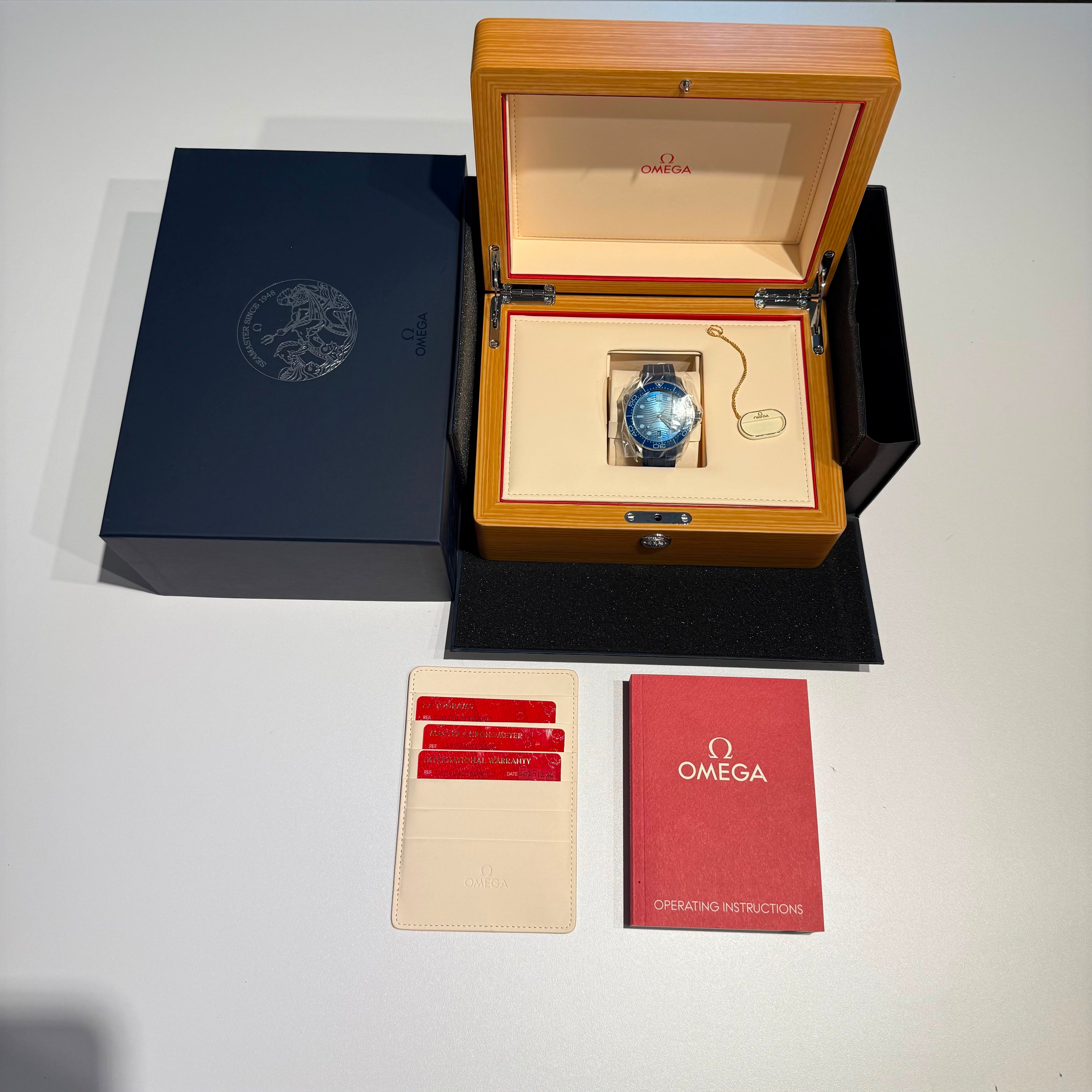 Omega Seamaster Diver 300M | 2025