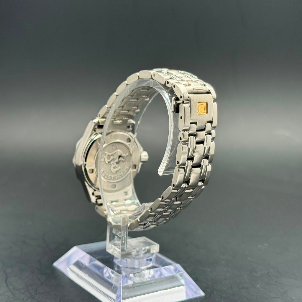 Omega Seamaster Diver 300M | 2013