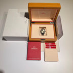 Omega Seamaster Aqua Terra | 2025
