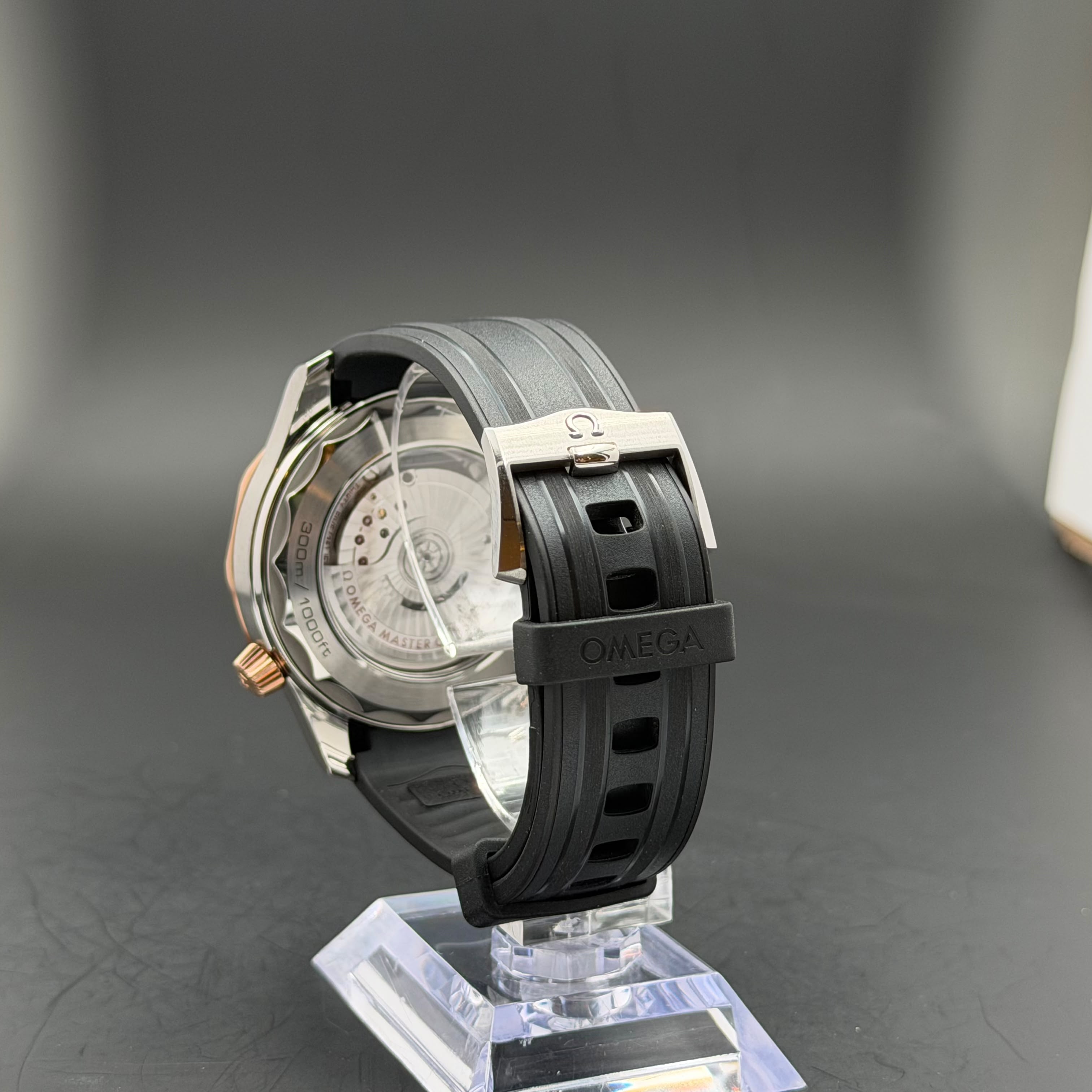 Omega Seamaster Diver 300M | 2023