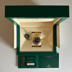 Rolex GMT-Master II GRNR | 126718GRNR | 2025