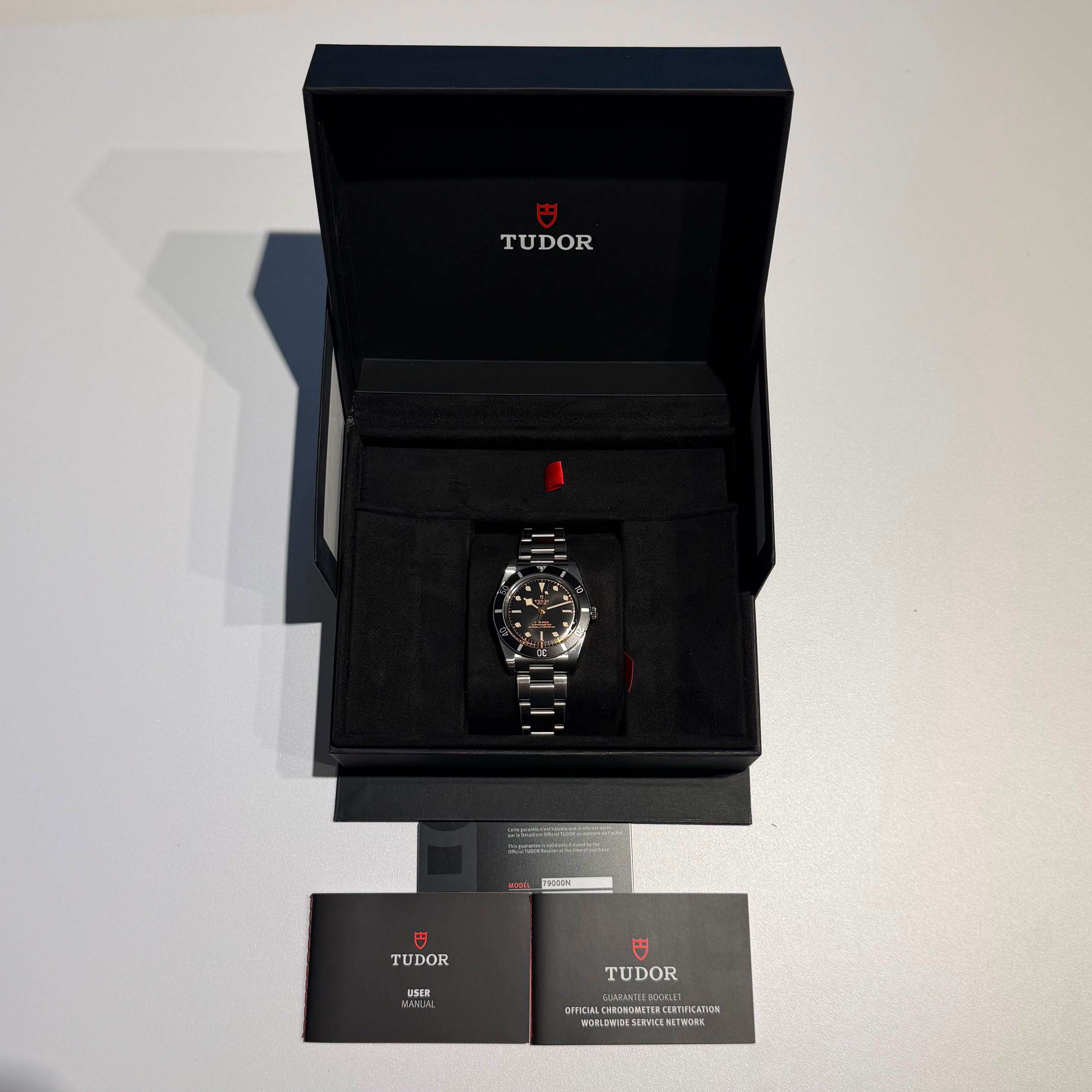 Tudor Black Bay 54 | 2025