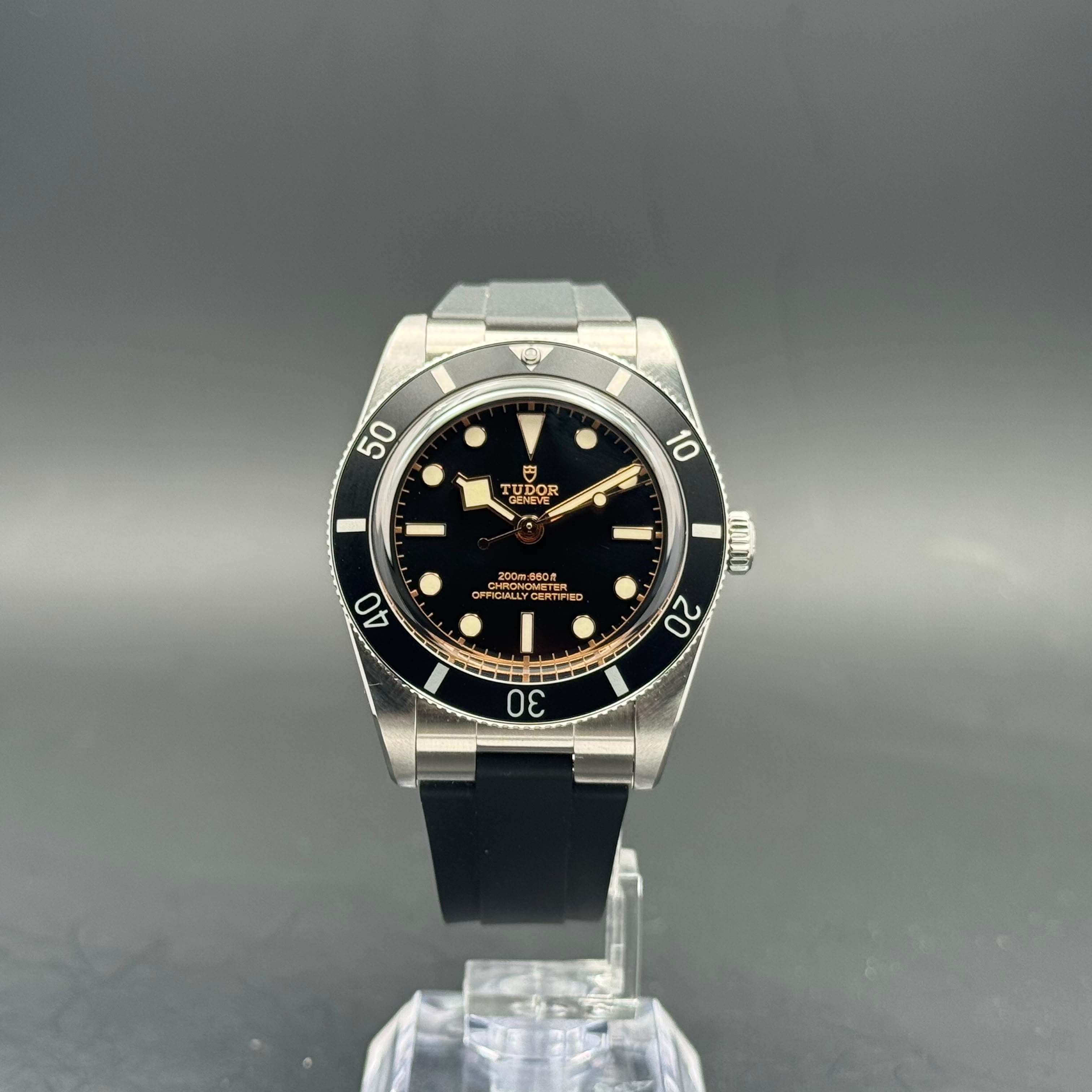 Tudor Black Bay 54 | 2024