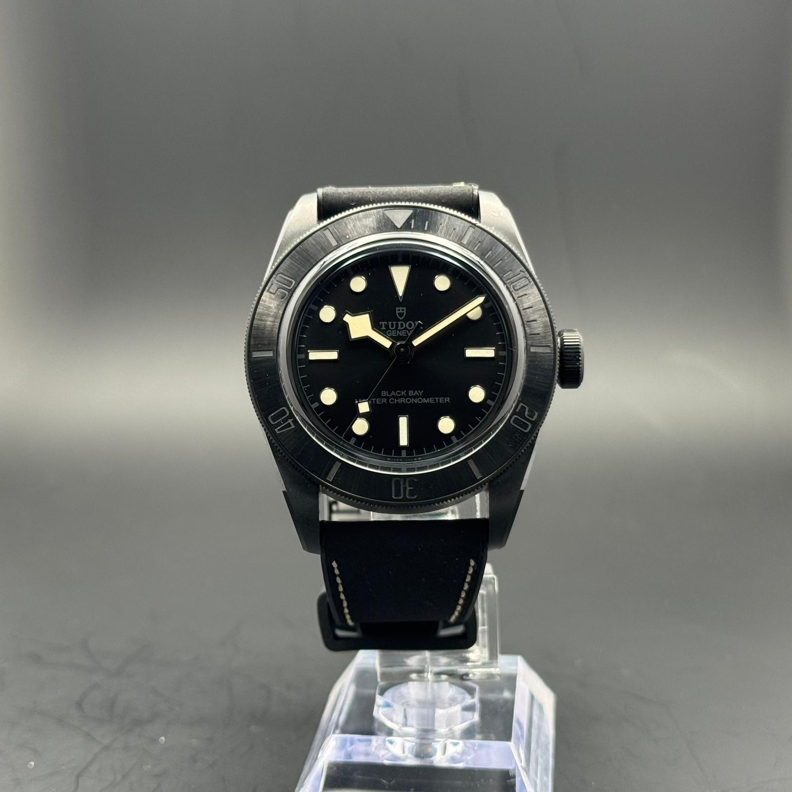 Tudor Black Bay | 2025