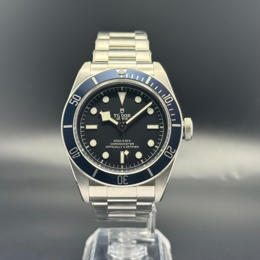 Tudor Black Bay