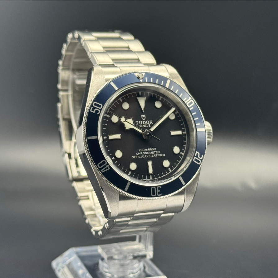 Tudor Black Bay