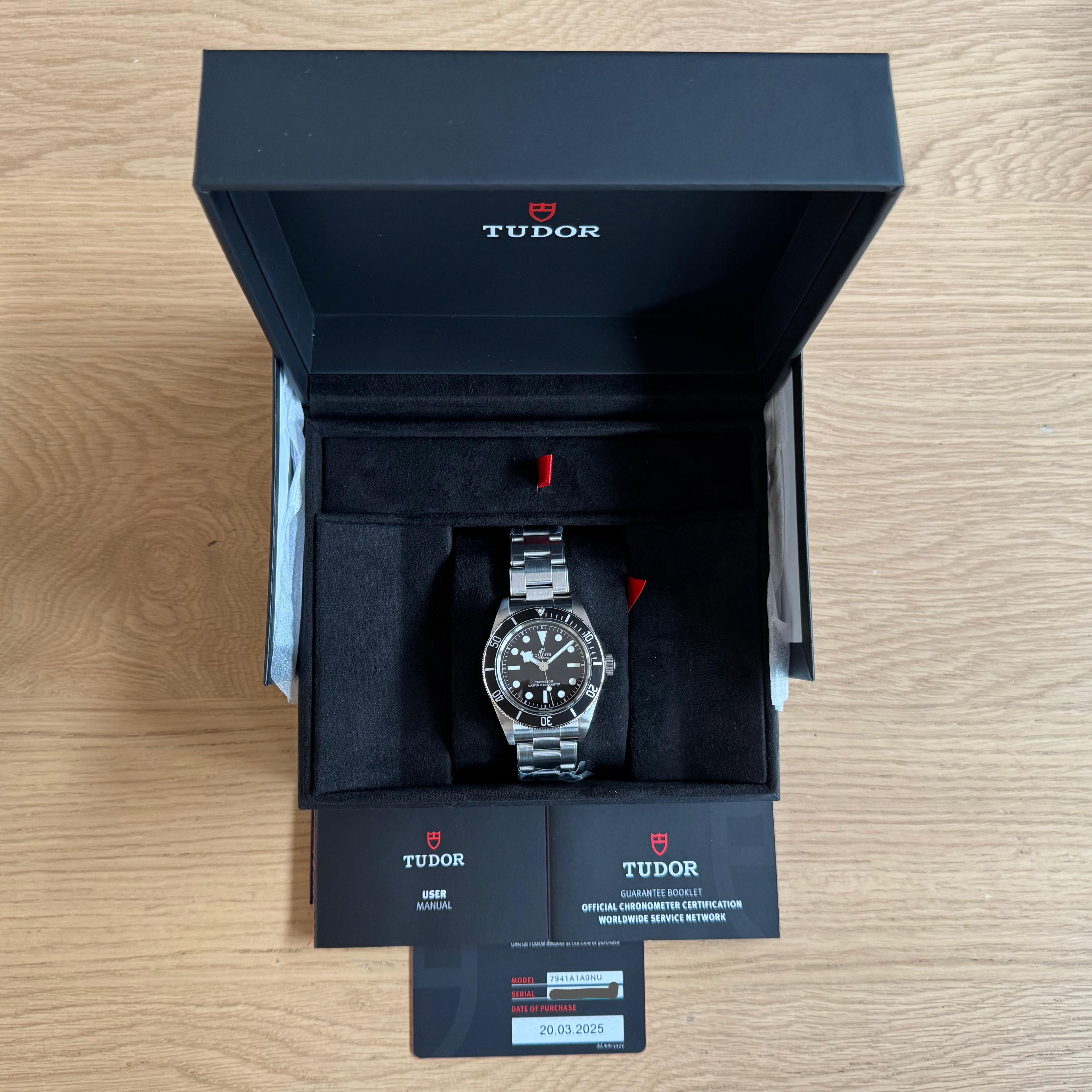 Tudor Black Bay | 2025