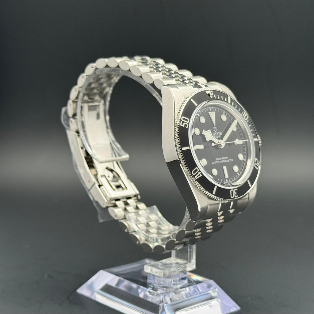 Tudor Black Bay | 2025