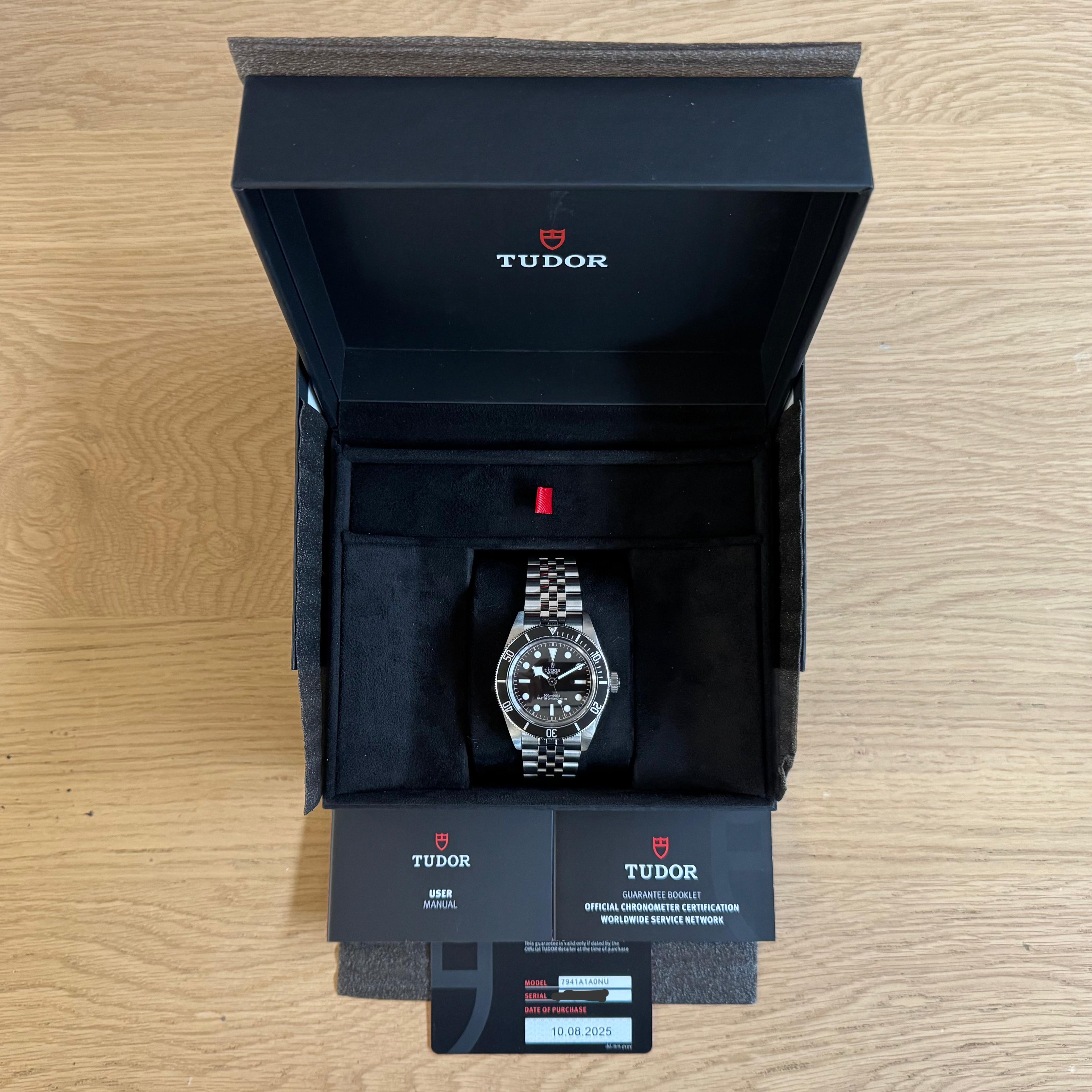 Tudor Black Bay | 2025